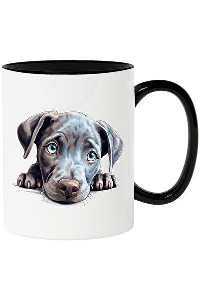 StoryGift Romania Cana cu un catelus timid | ilustratie | cenusiu | ochi puti...