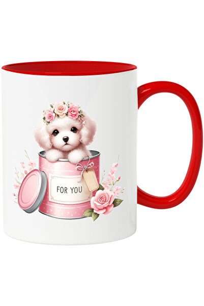 StoryGift Romania Cana cu o catelusa timida care iese dintr-o conserva | ilus...