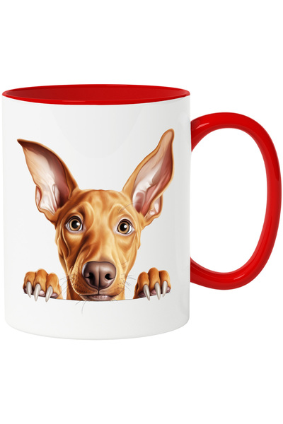 StoryGift Romania Cana cu un catel surprins | ilustratie | priveste mirat | g...