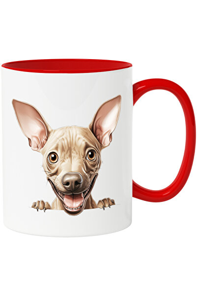 StoryGift Romania Cana cu un catel vesel | ilustratie | se uita peste gard | ...