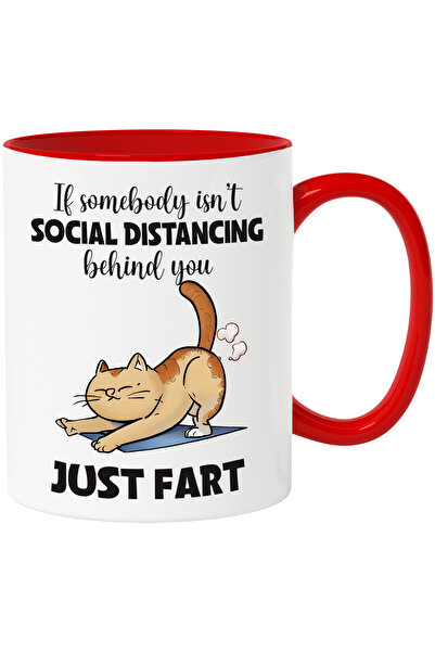 StoryGift Romania Cana cu pisica cu mesajul "If somebody isn't social distanc...