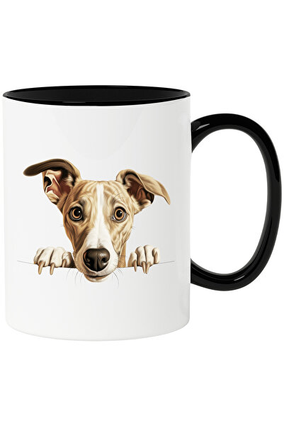 StoryGift Romania Cana cu un caine fricos care se uita peste gard | ilustrati...