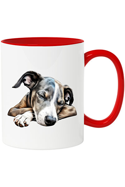 StoryGift Romania Cana cu un catel care doarme lat | ilustratie | somn adanc ...