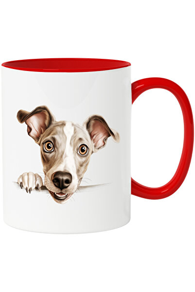 StoryGift Romania Cana cu un caine uimit | ilustratie | se uita surprins | pe...