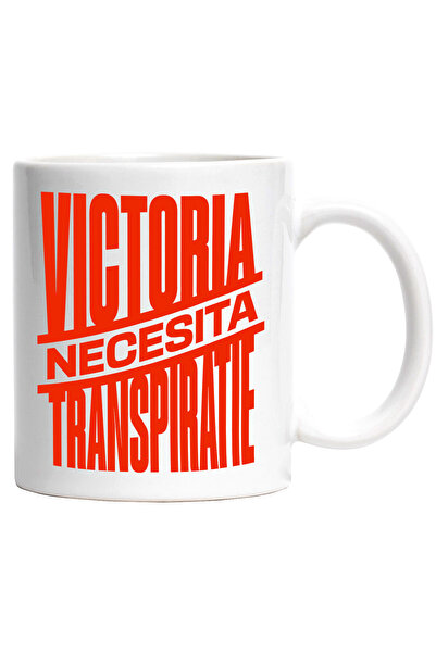 StoryGift Romania Cana cu Mesaj Inspirational Design In Limba Roamana iluzie ...