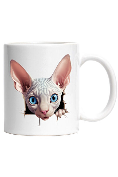 StoryGift Romania Cana cu o pisica Sfinx care scoate capul printr-o gaura in ...