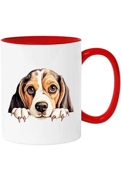 StoryGift Romania Cana cu un catel care isi asteapta stapanul | ilustratie | ...