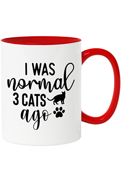 StoryGift Romania Cana cu o pisica si mesajul "Eram normal acum 3 pisici" - c...