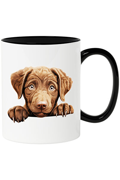 StoryGift Romania Cana cu un catel sfios | ilustratie | maro deschis | gheare...