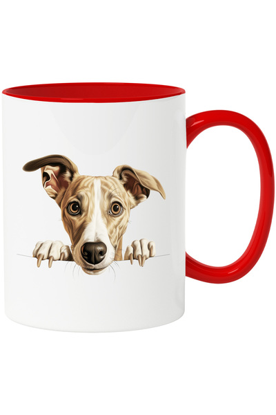 StoryGift Romania Cana cu un caine fricos care se uita peste gard | ilustrati...