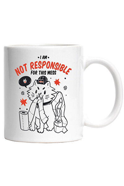StoryGift Romania Cana Cu Mesaj I am not Responsible For This Mess, Pisica, H...