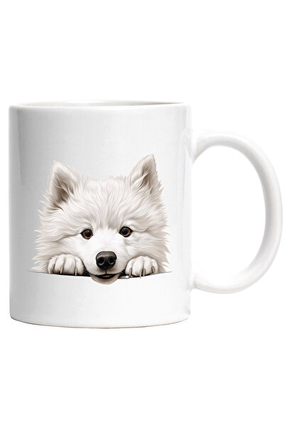 StoryGift Romania Cana cu un caine alb care priveste curios | ilustratie | vr...