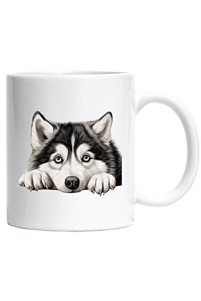 StoryGift Romania Cana cu un caine Husky putin speriat | ilustratie | animal ...