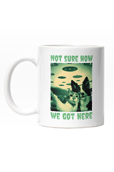 StoryGift Romania Cana Cu Selfie Pisica Si Caine Rapit De Extraterestri, Mesa...