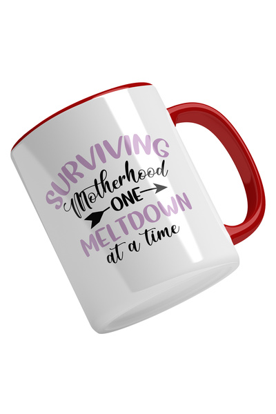 StoryGift Romania Cana Cu Text In Engleza Surviving Motherhood One Meltdown A...