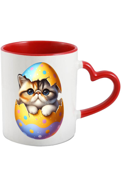 StoryGift Romania Cana cu o pisicuta grasuta | ilustratie | iese dintr-un ou ...