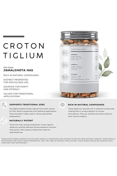 AWAFI MILL Croton Tiglium Seeds | Jamalghota Seeds - Bottle of 100 gram / 3.5 Oz