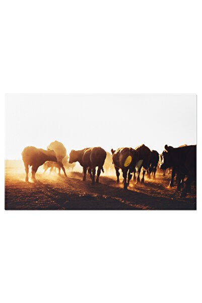 StoryGift Romania Tablou Canvas: Ferma Cu Cai In Peisaj Rural - Ferma, Cai, P...