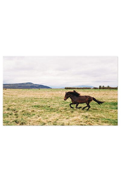 StoryGift Romania Tablou Canvas: Priveliste De La Varful Muntelui - Aventura ...