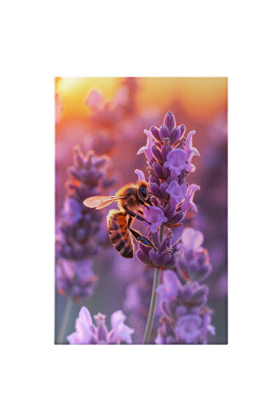 StoryGift Romania Tablou Canvas: Polenul Florilor De Lavandă Și Albina Harnică Din Amugul Cald Al Primăverii Pict