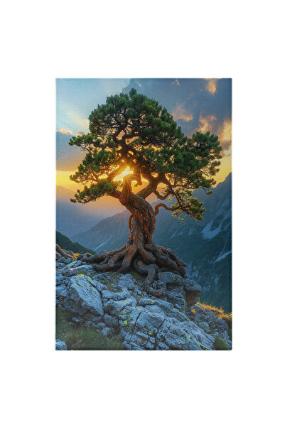 StoryGift Romania Tablou Canvas: Bonsai Verde Care Reprezinta Echilibrul Cu R...