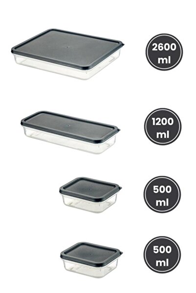 Flora 4’lü Dondurucu Saklama Kabı Seti, Buzdolabı Difriz Erzak Düzenleyici Set (2600,1200,2x500ml) Mavi