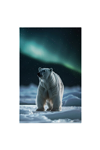 StoryGift Romania Tablou Canvas: Urs Polar În Mediul Lui Natural Acasă E Auro...