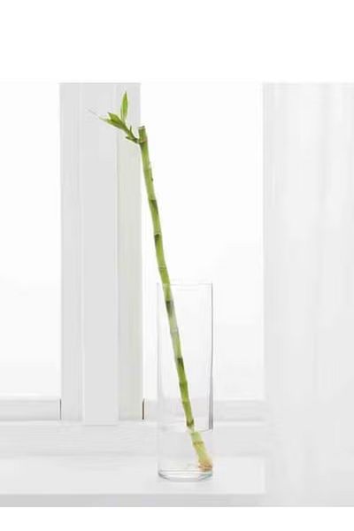 IKEA Flowery Short Plants