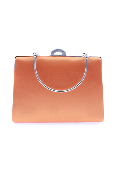 DGN 5249-23y Women's Evening Dress Portfolio Bag