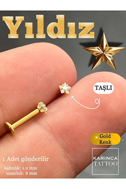 Karınca Piercing Yıldız Taşlı Piercing Cerrahi Çelik Tragus Piercing Kulak Flat Helix Conch Burun Nostril Dudak