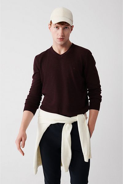Avva Men's Burgundy V-Neck Non-Pilling Sweater E 005003