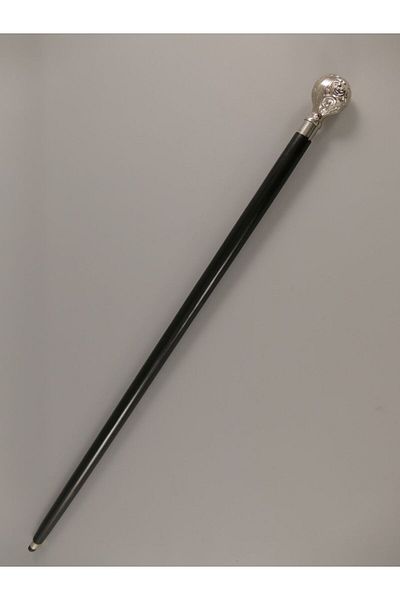Zenlife Walking Stick