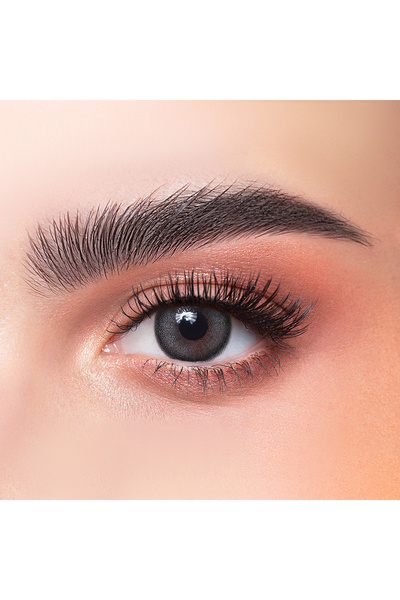 DAHAB عدسات، دهب، يومية، 33 - رمادي طبيعي