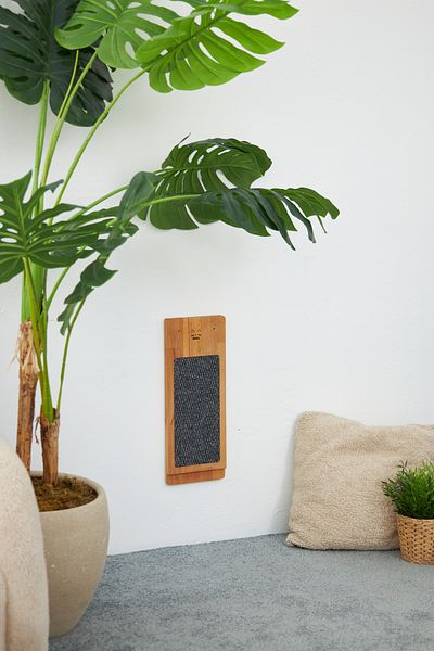 ESLENTA Wooden Natural Cat Scratching Board - Wall Mounted Solid