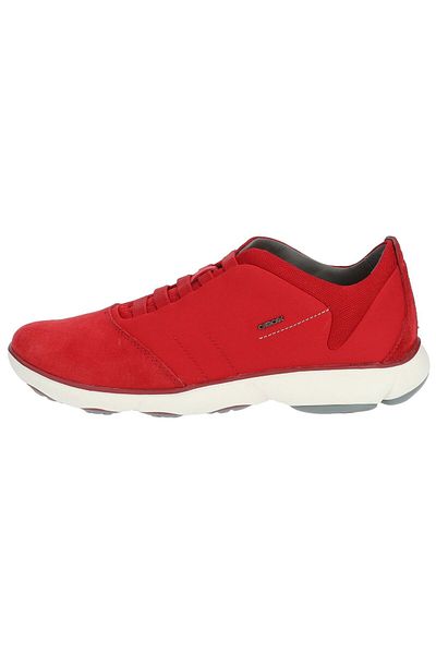 Geox Sneaker