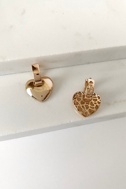 SilverStone Kalpli Çift Yönlü Sallantılı Xuping Halka Küpe