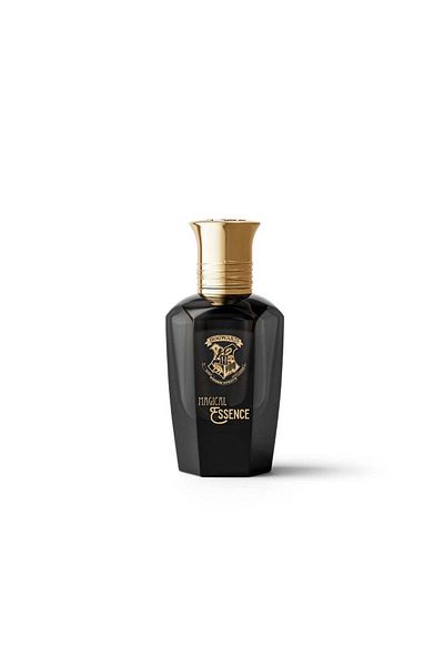 Harry Potter Apă de parfum Hogwarts Magical Essence Ambition pentru bărbați, Harry Potter Wizarding World, 50 ml