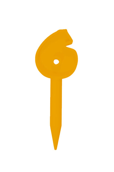 OEM Topper tort, "6", zi de nastere, aniversare,150 X 54 mm auriu