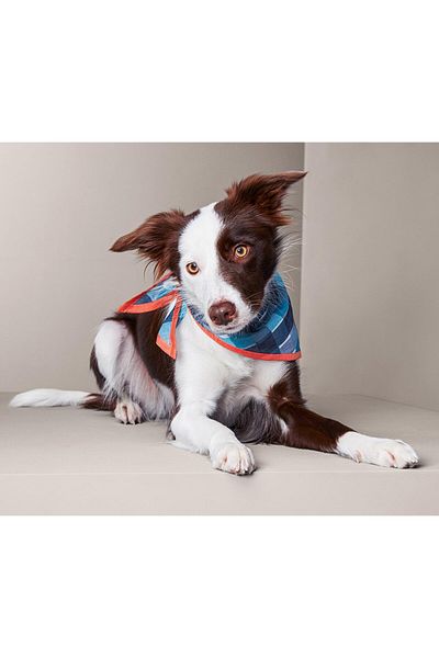 Tchibo Scarf For Dogs, Navy Combo