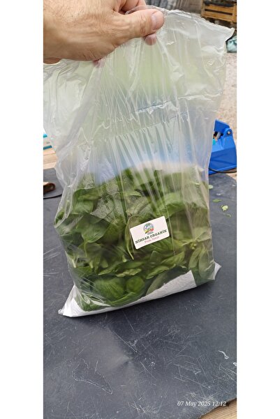 Nihsar 125 gr -taze Italyan Fesleğeni Yaprakları