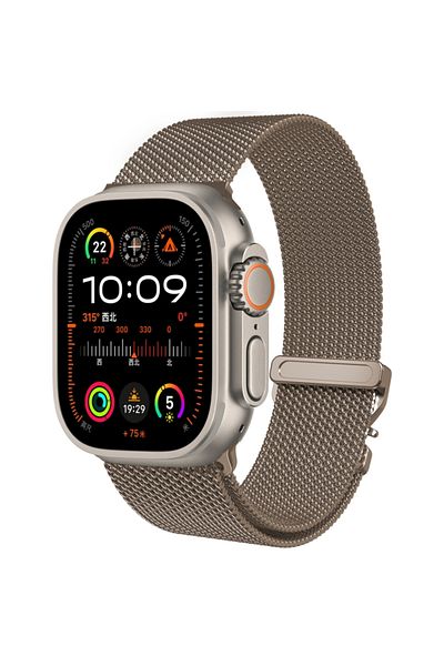 REDz Accessories Curea Milanese Mesh, pentru Apple Watch, plasă metalică, cataramă reglabilă, titan - 44/45/46/49 mm