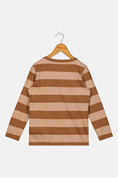 HAWK Toddlers Boy Crew Neck Long Sleeves Stripe T-Shirt, Brown