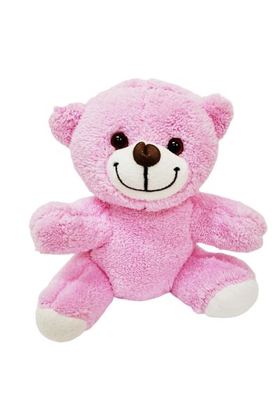 Store Pink Plush Teddy Bear