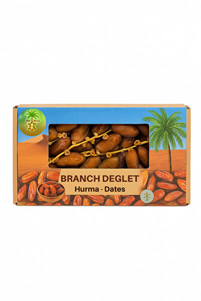 OSY ROZA Tunus Dallı Hurma 1 Kg – Branch Deglet | Yeni Mahsul | Katkısız