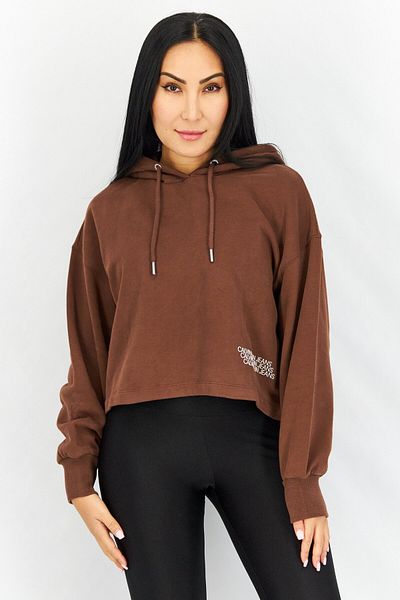 Calvin Klein Jeans Women Hooded Long Sleeve Brand Logo Sweatshirt, Brown
