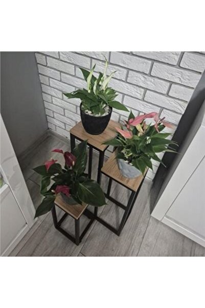 zola Suport metalic flori cu 3 polite patrate MDF, max 45 kg, 67x34.5x34.5 cm, negru/maro