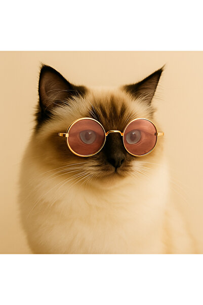 PAWPETİA Evcil Hayvan Gözlüğü | Kedi ve Köpekler İçin Yuvarlak Camlı Şık Aksesuar