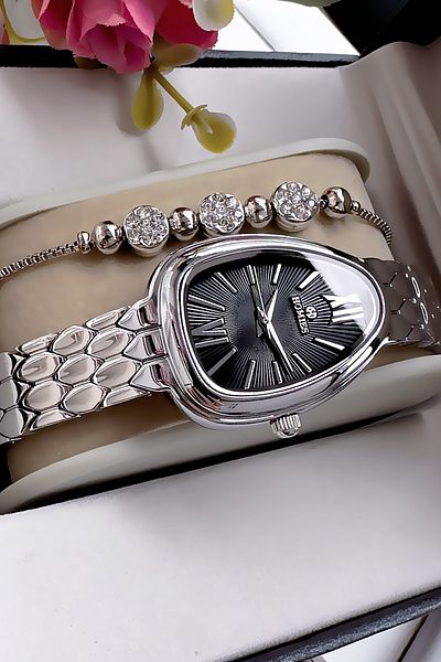 Homies Special Boxed Snake Model Women Wristwatch Waterproof Silver Color Steel Band + Bracelet Hmby2059C5