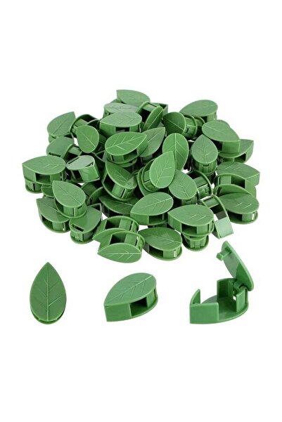 DRAMA HOME 100 قطعة من مقاطع تثبيت الجدار لتسلق النباتات مع 100 قطعة من ملصقا...