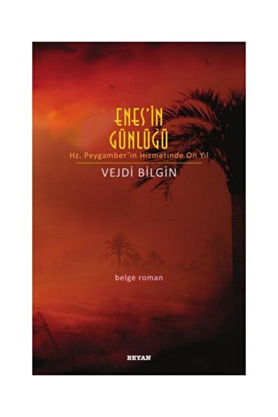 Beyan Yayınları Enes'in Günlüğü / / Vejdi Bilgin
